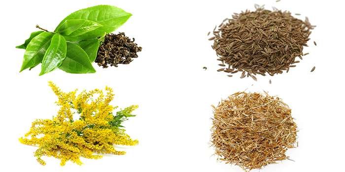 Состав чая Gardenin Organic Tea.